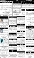 Page-6