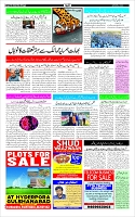 Page-3