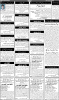 Page-6