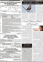 Page-9