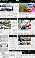 Page-7