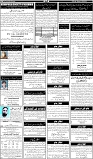 Page-6
