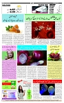 Page-12